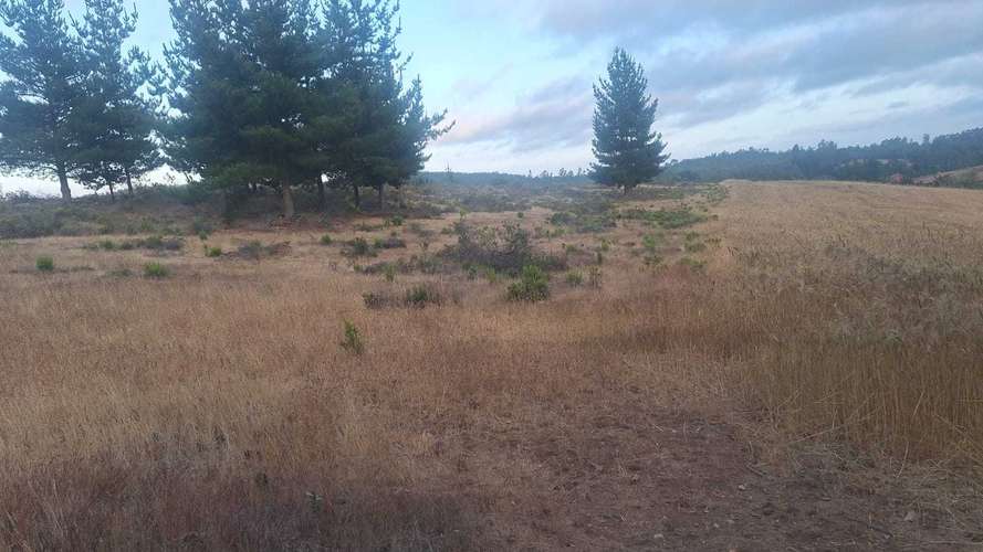 Espectacular Parcela de 53 héctares (181108)