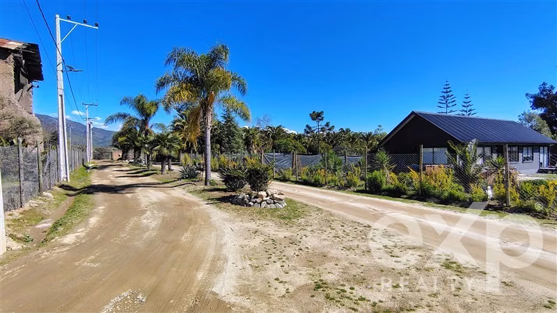 Parcela 5.000 m2 se vende en Olmué. Luz, agua, rol propio. - Imagen 20