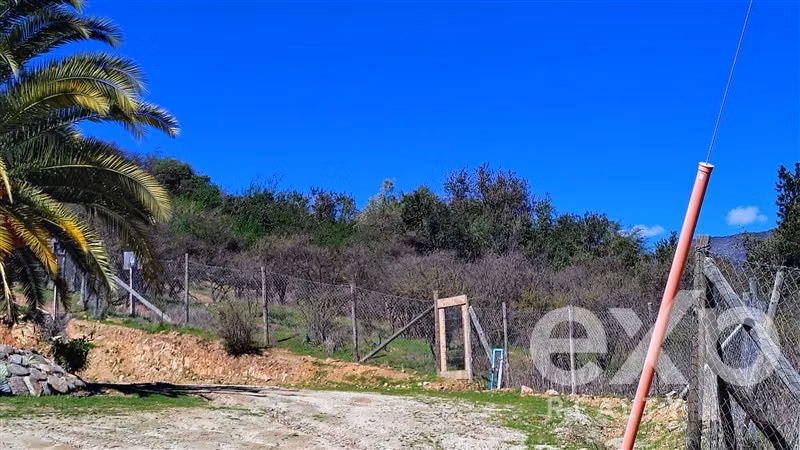 Parcela 5.000 m2 se vende en Olmué. Luz, agua, rol propio. - Imagen 4