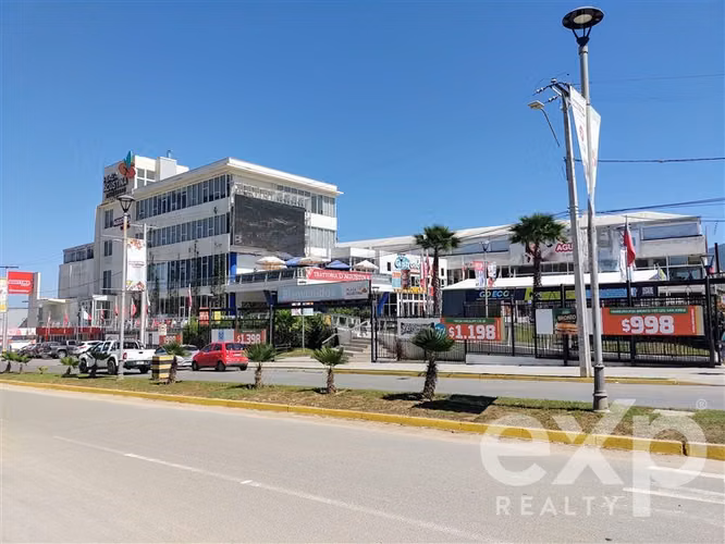 Parcela 5.000 m2 se vende en Olmué. Luz, agua, rol propio. - Imagen 32