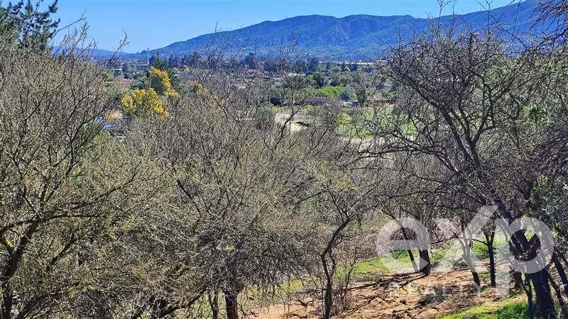 Parcela 5.000 m2 se vende en Olmué. Luz, agua, rol propio. - Imagen 9