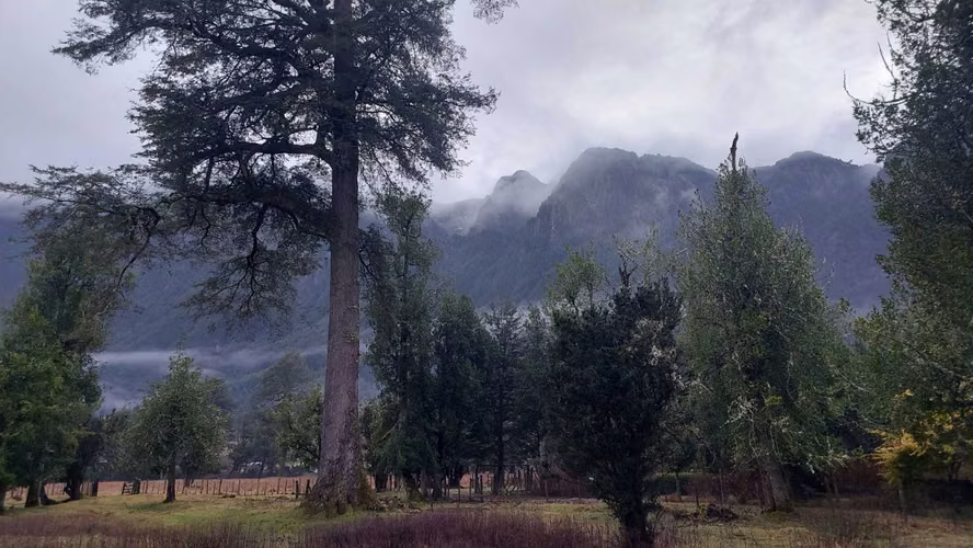 Hermosa Casa en KM 29 Ruta 240 - Aysen (181113)