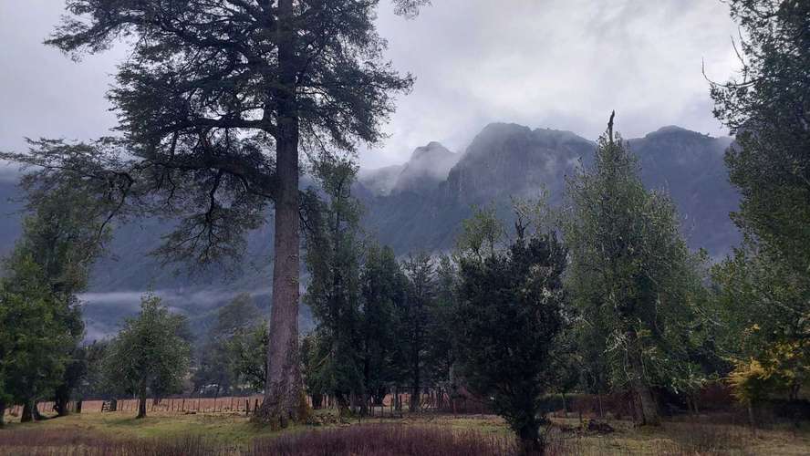 Hermosa Casa en KM 29 Ruta 240 - Aysen (181113)