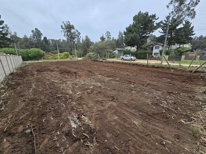 TERRENO 450 M2 URBANIZADO. EN EL SECTOR CENTRAL DE ALGARROBO - Imagen 13