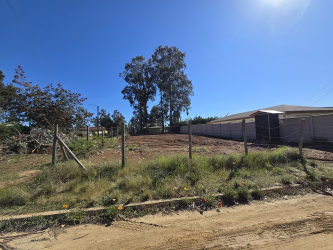 TERRENO 450 M2 URBANIZADO. EN EL SECTOR CENTRAL DE ALGARROBO - Imagen 12