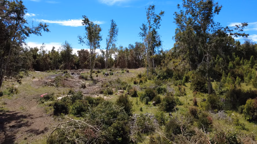 Venta Terreno Curaco de Vélez, Chiloé - Imagen 5