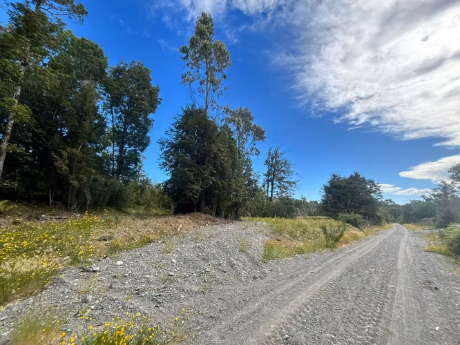 PARCELA 5000 M2 PLANA CON BOSQUE NATIVO / EL QUILAR ANCUD - Imagen 9