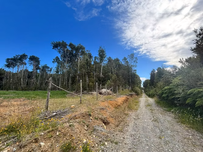 PARCELA 5000 M2 PLANA CON BOSQUE NATIVO / EL QUILAR ANCUD - Imagen 6