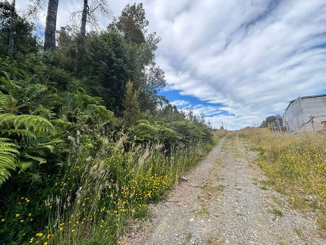 PARCELA 5000 M2 PLANA CON BOSQUE NATIVO / EL QUILAR ANCUD - Imagen 4