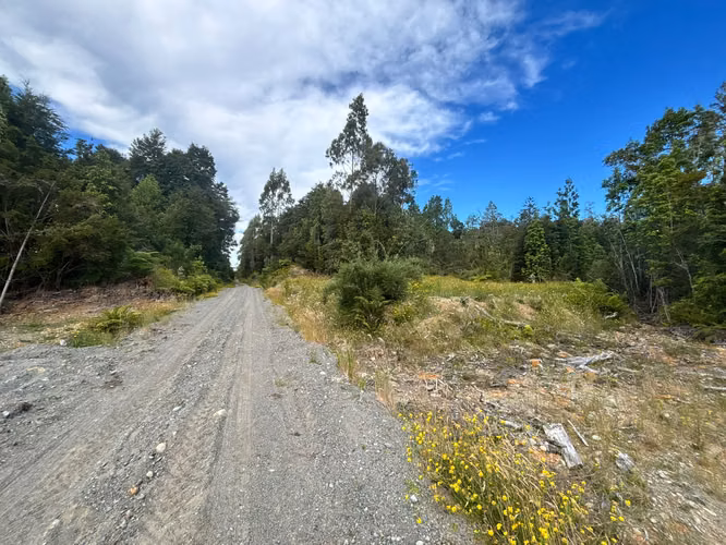 PARCELA 5000 M2 PLANA CON BOSQUE NATIVO / EL QUILAR ANCUD - Imagen 8