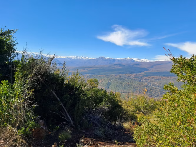Excelente parcela de 8013 m2 con vista aérea cerca Radal 7 Tazas - Imagen 8