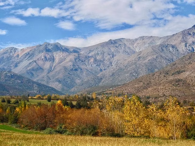 VENTA PARCELA 5000MTS San Esteban - Imagen 2