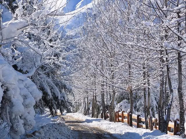 VENTA PARCELA 5000MTS San Esteban - Imagen 5