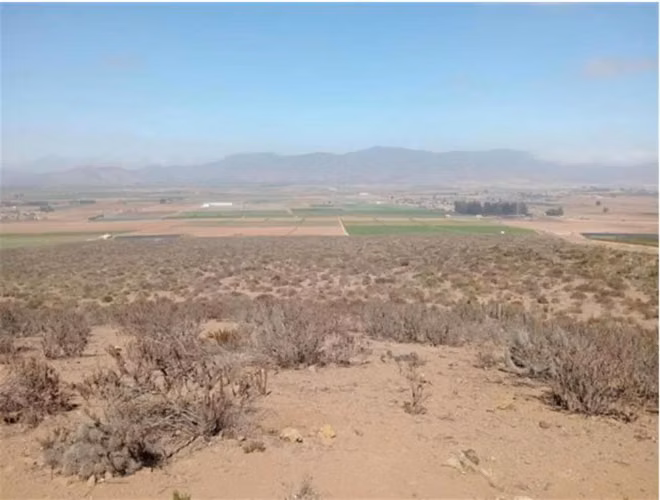COQUIMBO, FUNDO MARTÍNEZ, PAN DE AZÚCAR, TERRENO 1380 HAS