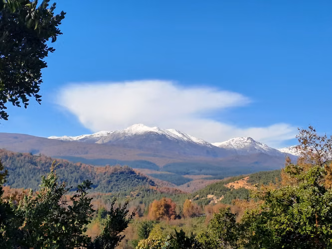 Parcela con vista extraordinaria y robles - Imagen 2