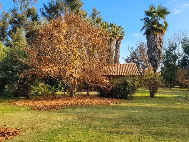ARRIENDO PARCELA CON CASA DE 4D/4B CERCANA AL COLEGIO CARAMPANGUE