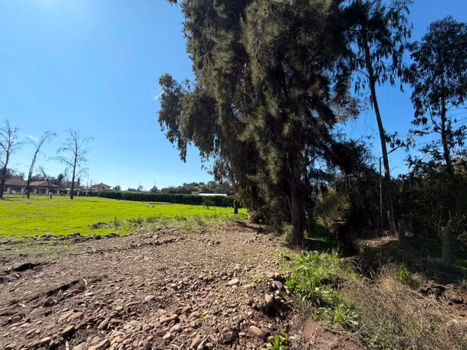 hermoso terreno en exclusivo condominio  (181167)