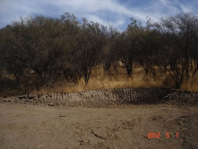 Parcela en Oasis de La Campana – Sector Los Trigales - Imagen 10