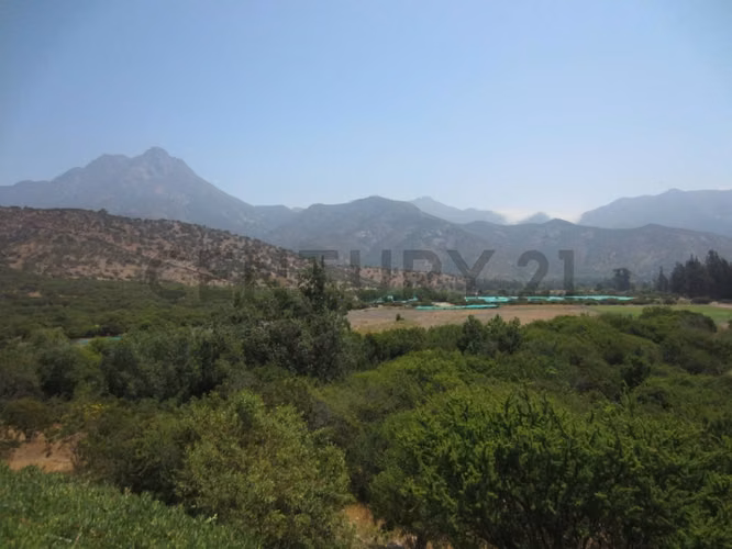 Parcela en Oasis de La Campana – Sector Los Trigales - Imagen 13