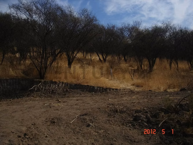 Parcela en Oasis de La Campana – Sector Los Trigales - Imagen 11