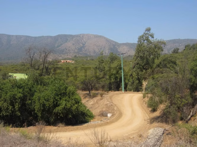 Parcela en Oasis de La Campana – Sector Los Trigales - Imagen 7