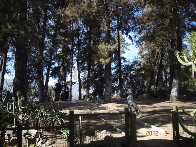 Parcela en Oasis de La Campana – Sector Los Trigales - Imagen 4