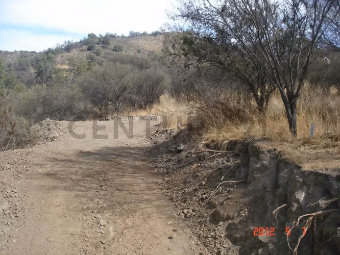 Parcela en Oasis de La Campana – Sector Los Trigales - Imagen 8