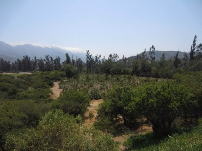 Parcela en Oasis de La Campana – Sector Los Trigales - Imagen 14