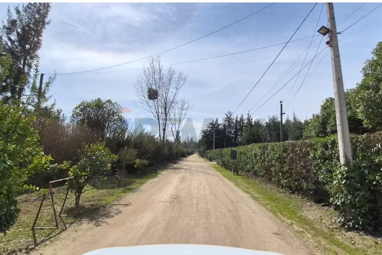 Venta parcela talagante. condominio el olivieto