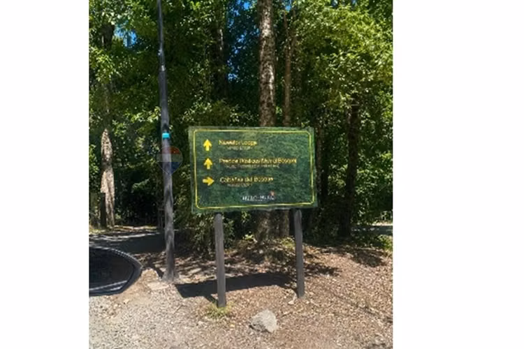 Reserva ecológica huilo huilo sueño de  10.000m² - Imagen 4