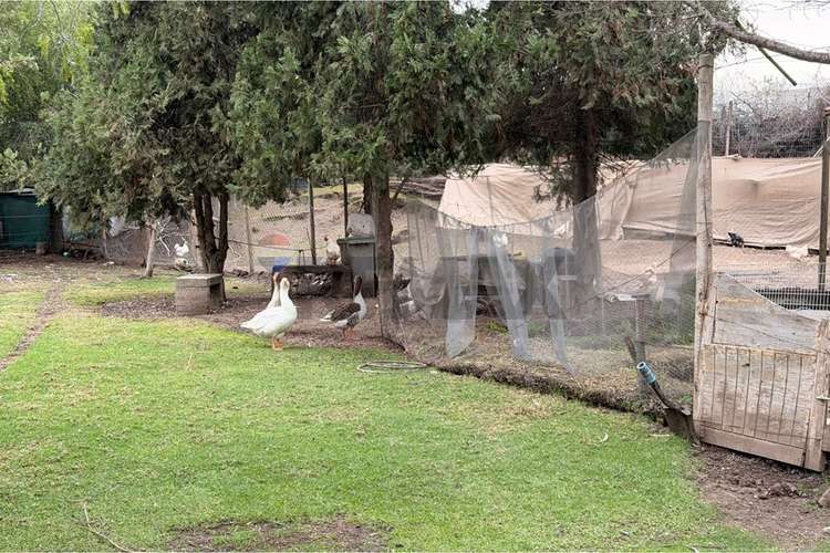 Casa en parcela chicureo oferta! + tasa 1,69! - Imagen 40
