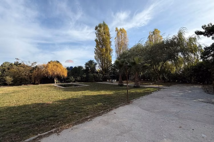 Oportunidad - venta parcela sector liray, chicureo