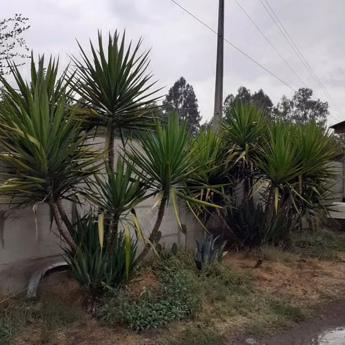 ARRIENDO CASA DE CAMPO A PASOS DE PAINE CERCA PANAMERICANA Y METROTREN
