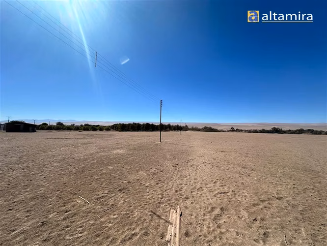 Agrícola en venta en Pica - Imagen 12