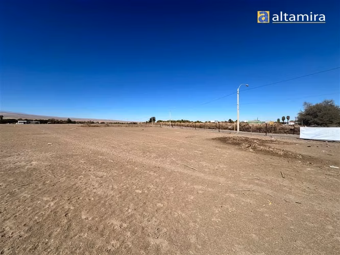 Agrícola en venta en Pica - Imagen 15
