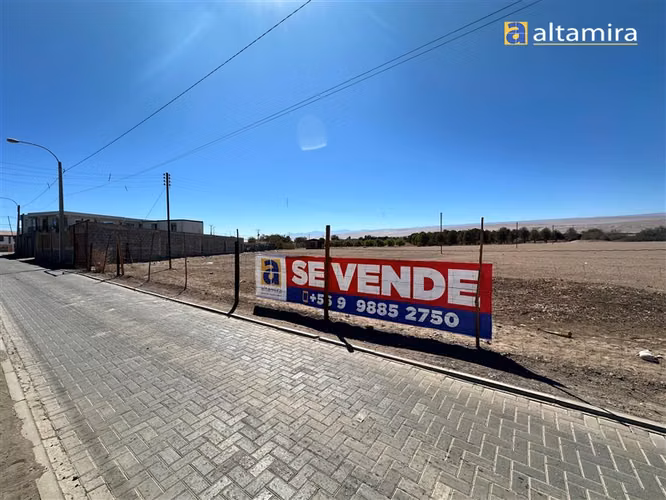 Sitio en venta en Pica - Imagen 5