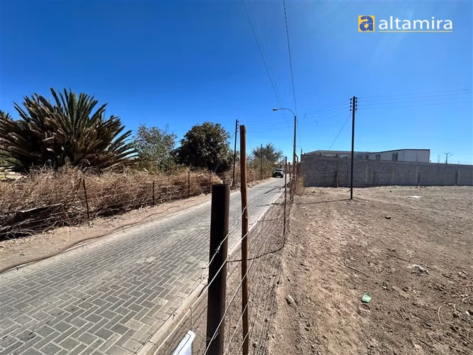 Sitio en venta en Pica - Imagen 13