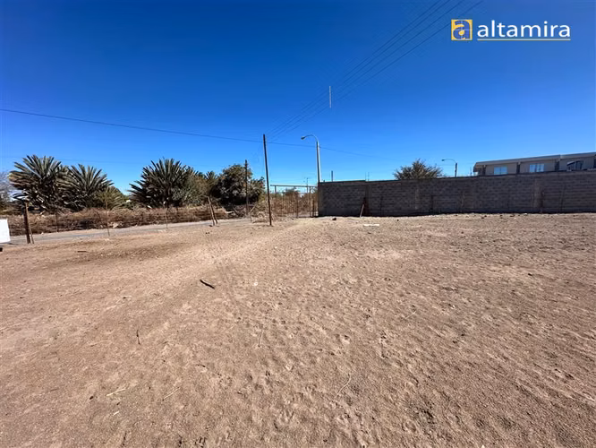 Sitio en venta en Pica - Imagen 8