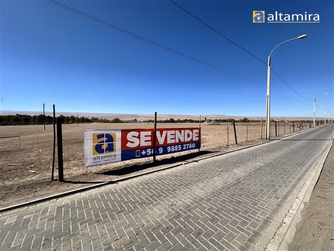 Sitio en venta en Pica - Imagen 5