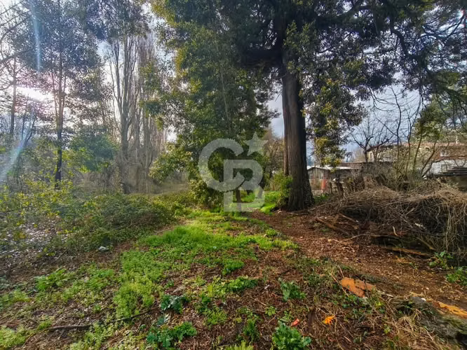 Oportunidad de inversión en el centro de Osorno | 1.955 m² - Imagen 7