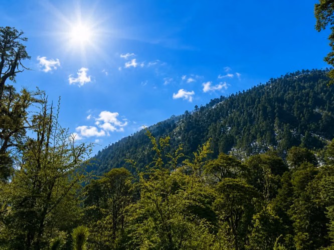 PARADISIACO CAMPO DE 109,5 HECTAREAS LOTEADO