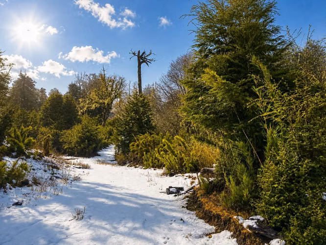 PARADISIACO CAMPO DE 109,5 HECTAREAS LOTEADO