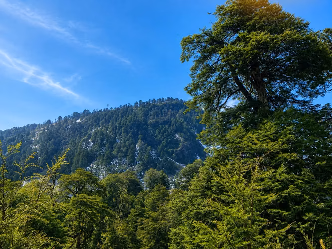 PARADISIACO CAMPO DE 109,5 HECTAREAS LOTEADO