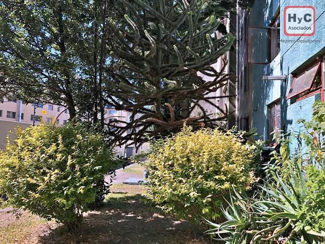 Hermoso departamento en Collao - Imagen 19