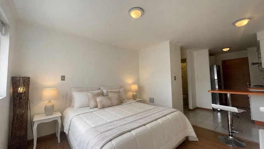 DEPARTAMENTO TIPO ESTUDIO (181228) - Imagen 7