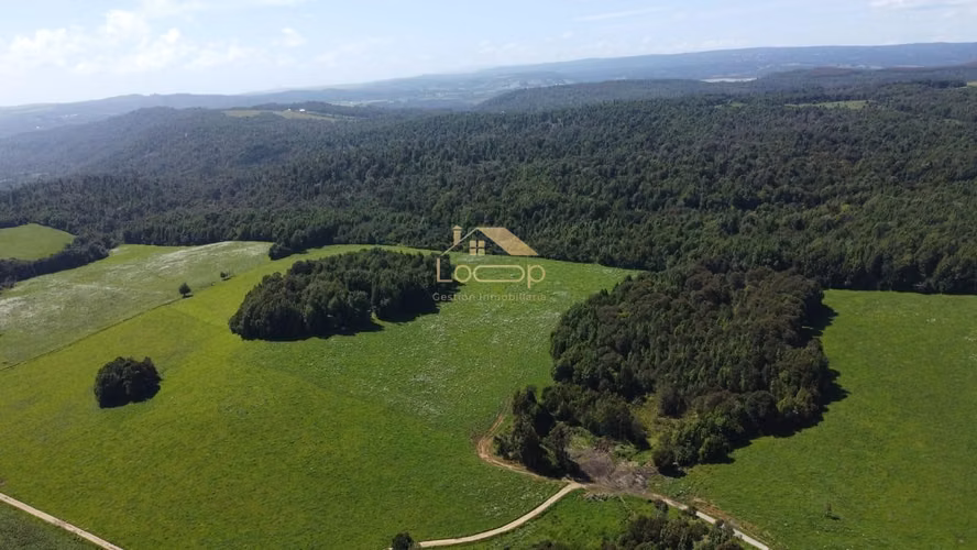 Fundo estratégico para inversión