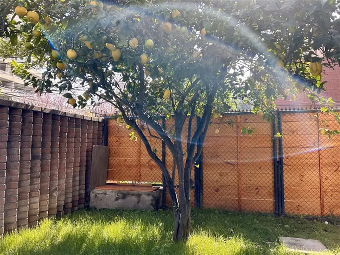 Casa 3D, 2B , remodela en sector residencial - Imagen 16