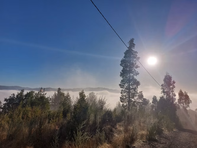 Viva como en el campo, PERO en la Ciudad. Excelente Plusvalía. 5100 m2 LAGUNA PINEDA - Imagen 3