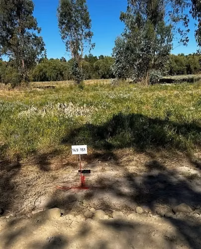 Parcela en Longaví crédito 50 meses a 15 min centro y ruta 5