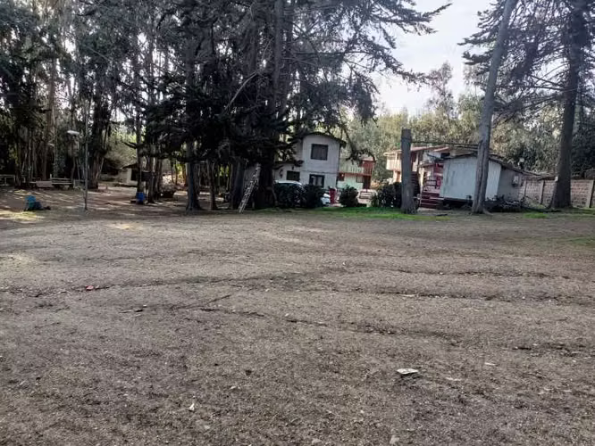 Para inmobiliaria o proyecto comercial  (181250) - Imagen 4
